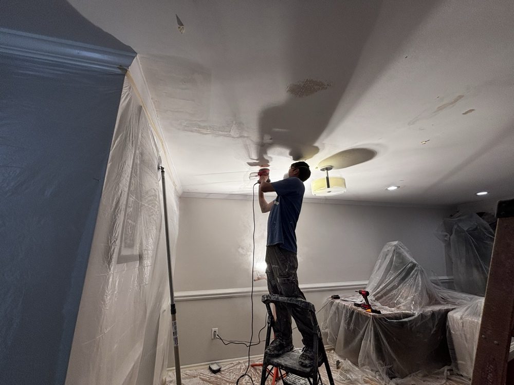 Living and dining rooms, walls, ceilings and trim, Ceiling repaired